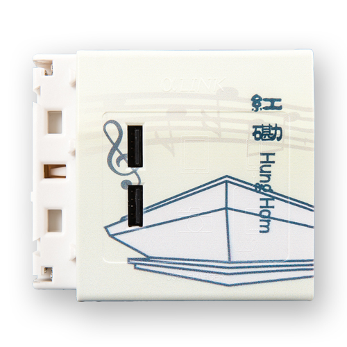 USB Module - Hung Hom