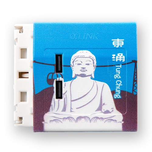 USB充電模組 - 東涌